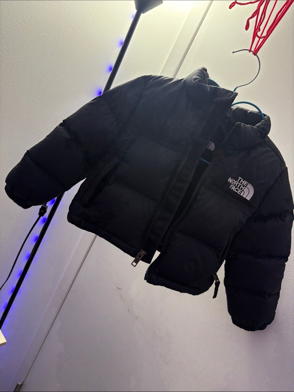 The North Face Kids Black Puffy Insulated Jacket